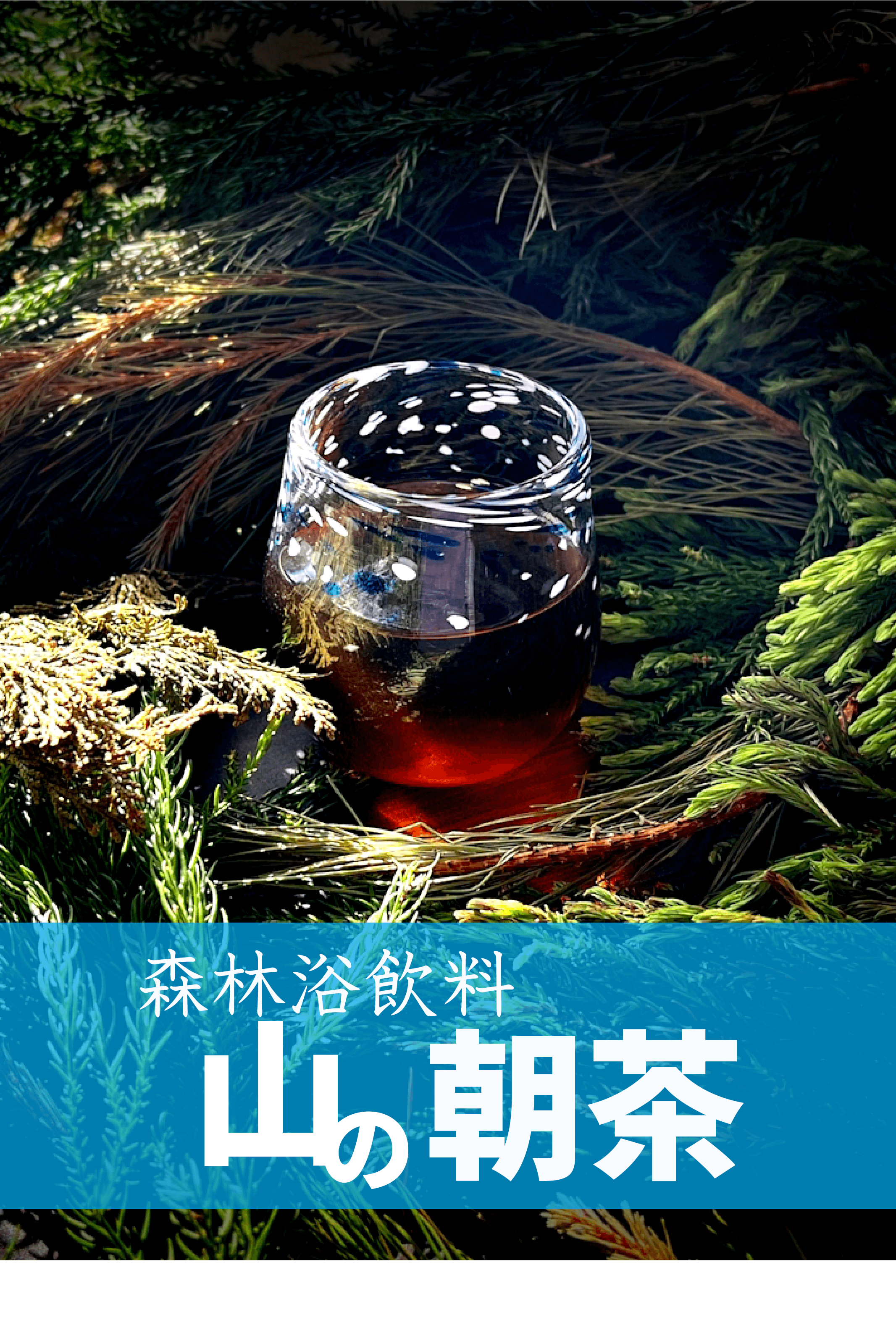 森林浴飲料 山の朝茶 ─ 朝から自宅で森林浴
